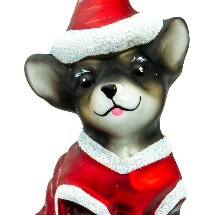 Chihuahua mit Weihnachtsmütze No.721