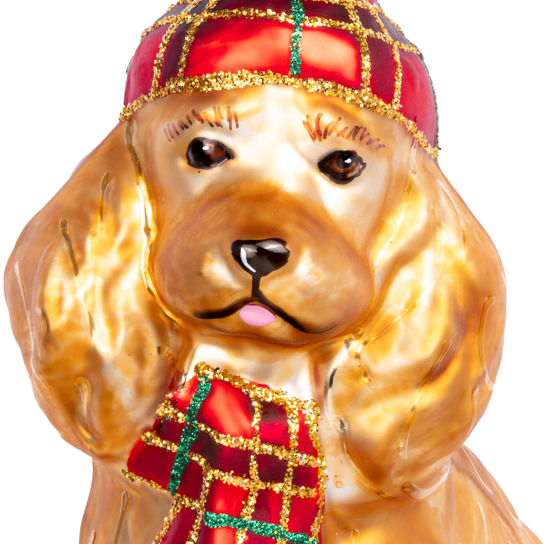 Cocker Spaniel mit No.761