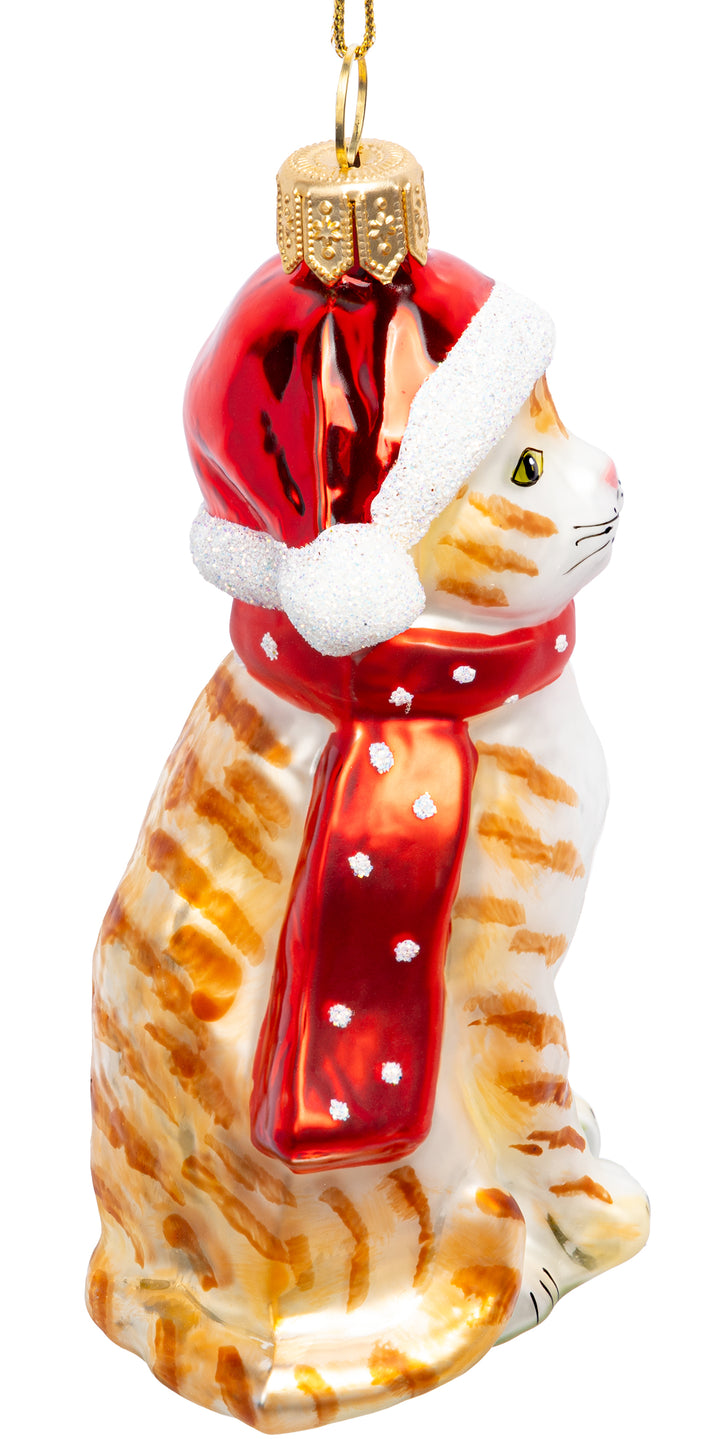Katze mit Weihnachtsmütze No.768