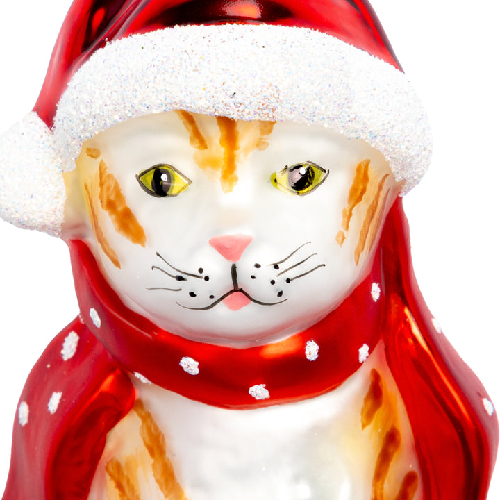 Katze mit Weihnachtsmütze No.768