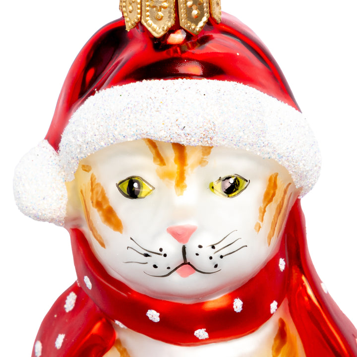 Katze mit Weihnachtsmütze No.734