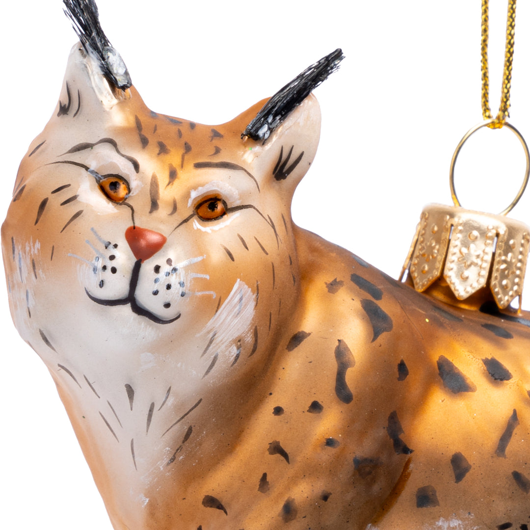 Luchs No.774