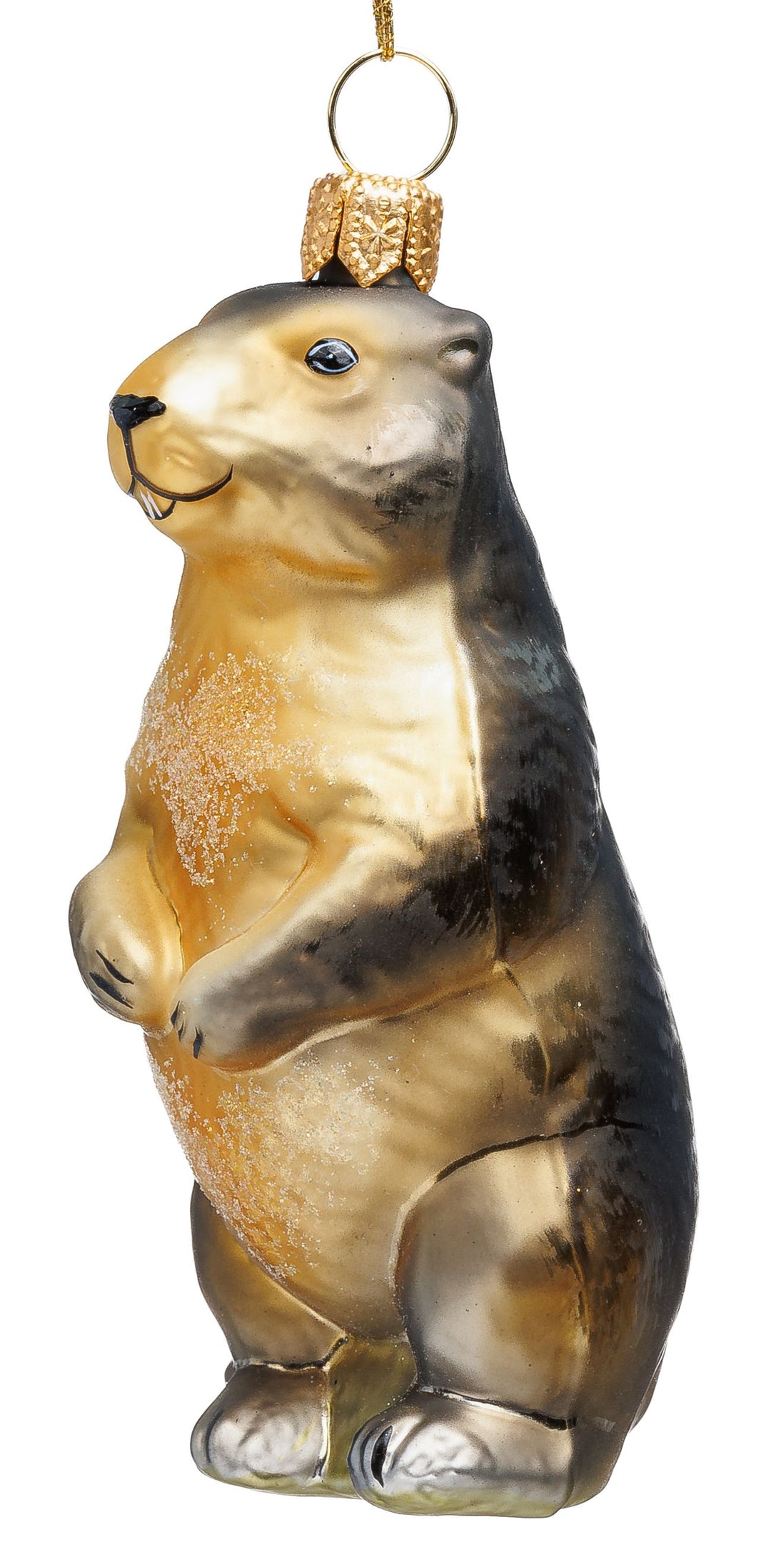 Murmeltier No.783