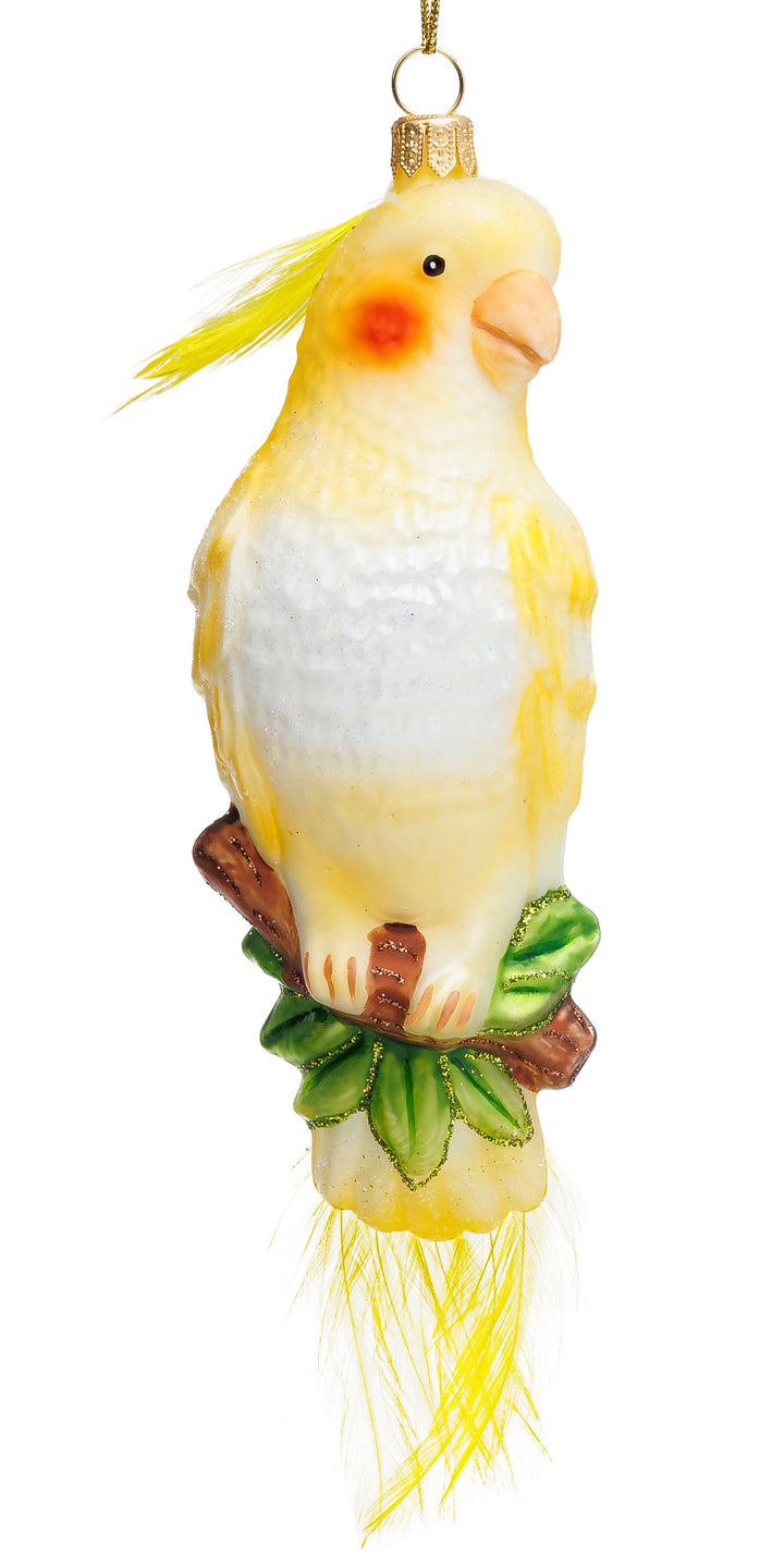 Nymphensittich gelb No.796