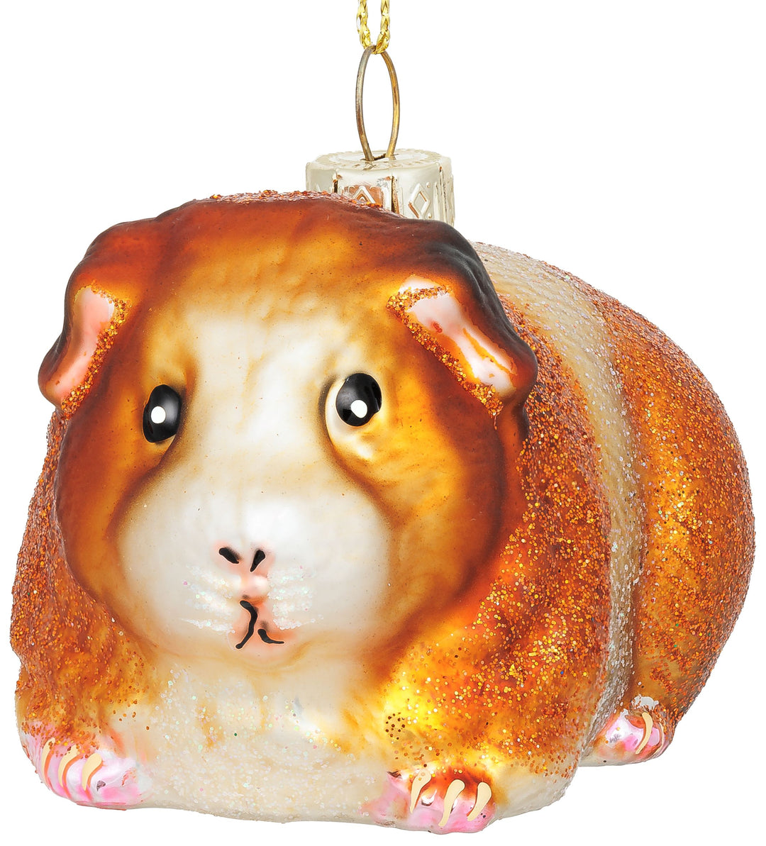 Meerschweinchen No.923