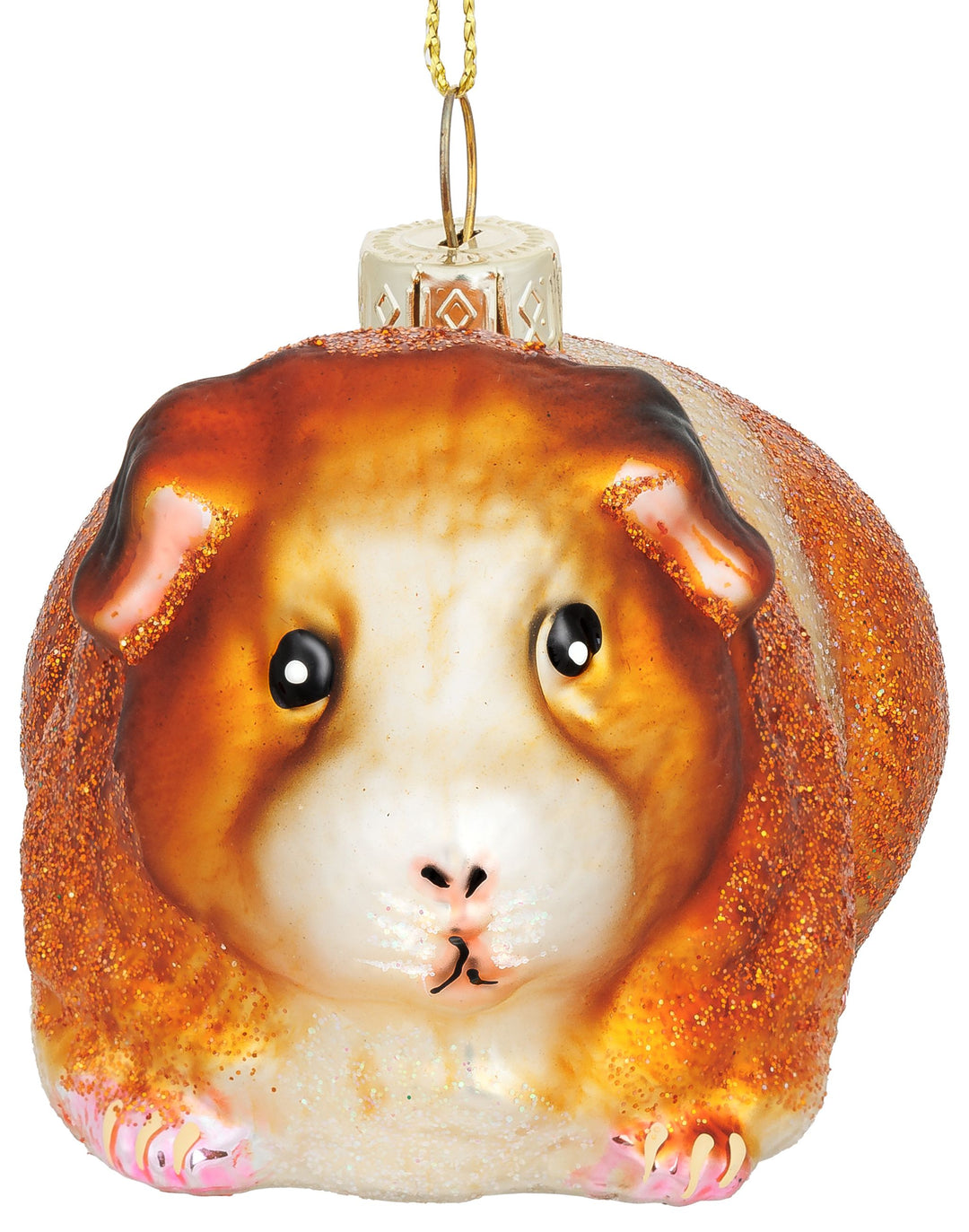 Meerschweinchen No.923