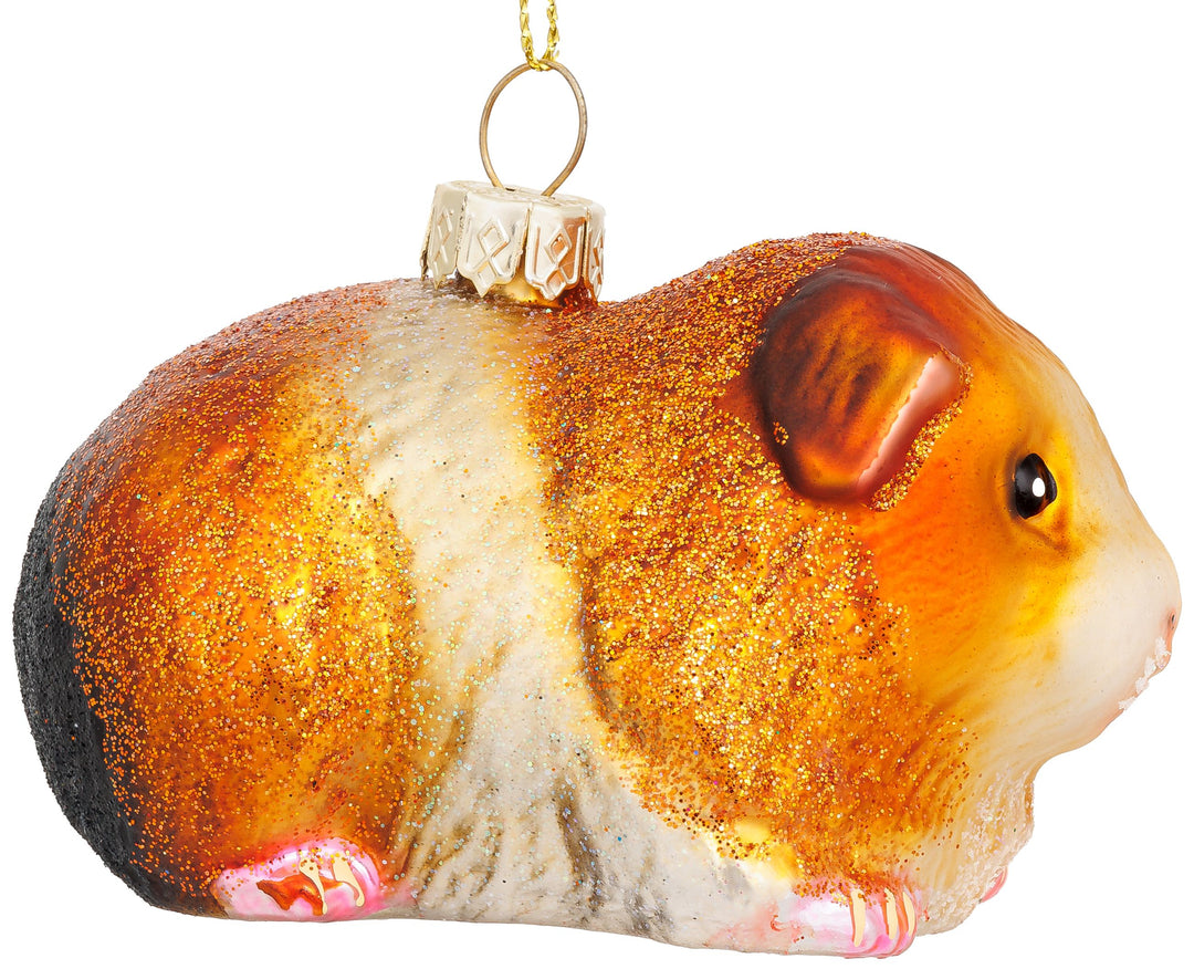 Meerschweinchen No.923