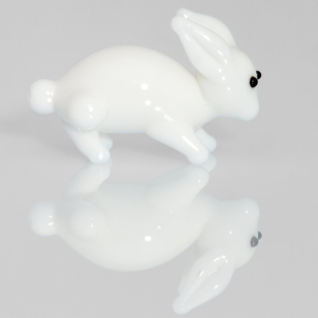 Hase - 06XS