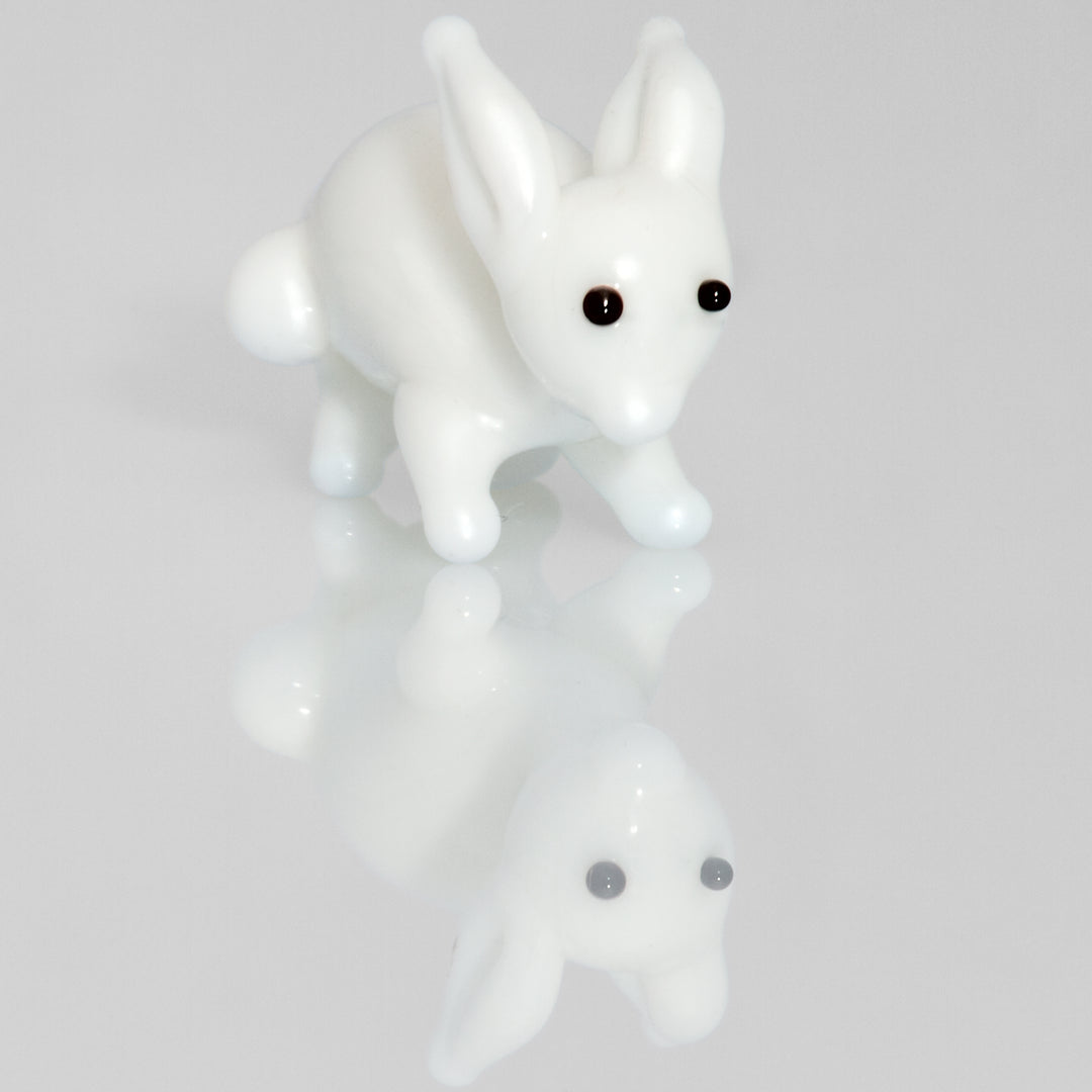 Hase - 06XS