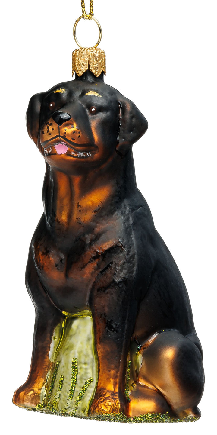 Rottweiler No.7020